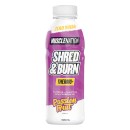 Muscle-Nation-Shred-Burn-Passionfruit-500ml Sale