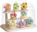 Flower-Love-Flower-Collection-8-Potted-Flowers Sale