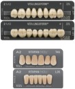 15-off-Vita-Excell-Lingoform Sale