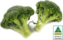 Australian-Broccoli Sale