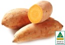 Australian-Gold-Sweet-Potatoes Sale