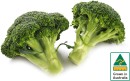 Australian-Broccoli Sale