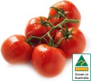 Australian-Truss-Tomatoes Sale