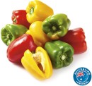 Australian-Red-Green-or-Yellow-Capsicums Sale