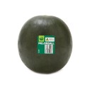 Australian-Melonball Sale