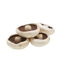 Australian-Flat-Large-Loose-Mushrooms Sale