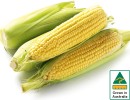 Australian-Sweet-Corn-500g-Pack Sale