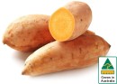 Australian-Gold-Sweet-Potatoes Sale
