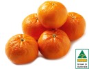 Australian-Mandarins Sale