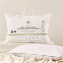 3070-Duck-Down-Feather-Surround-Medium-Pillow-by-Greenfirst Sale
