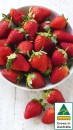 Australian-Strawberries-250g-Punnet Sale