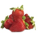 Australian-Strawberries-250g-Punnet Sale