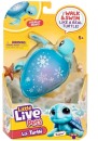 Little-Live-Pets-Assorted-S11-Lil-Turtle-Single Sale