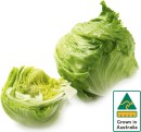 Australian-Iceberg-Lettuce Sale