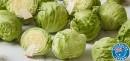 Australian-Iceberg-Lettuce Sale
