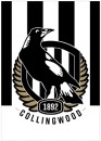 AFL-Team-Poster Sale