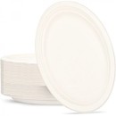 Sugarcane-Tableware-Pk-50-Oval-Plates Sale