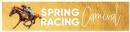 NEW-Spring-Racing-Floral-Banner-195mmx-841mm-Ea Sale