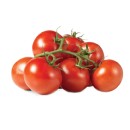 Australian-Truss-Tomatoes Sale