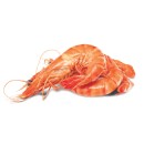 Thawed-Extra-Large-Cooked-Australian-Tiger-Prawns Sale