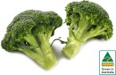 Australian-Broccoli Sale