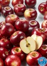 Australian-Bravo-Apples Sale