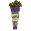 Australian-macro-Organic-Coriander-Bunch Sale
