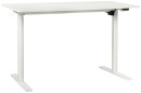 Otto-Chatham-Electric-Sit-Stand-Desk Sale