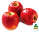 Australian-Pink-Lady-Apples Sale
