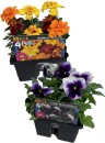 Mega-4-Pots Sale