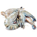 Thawed-Extra-Large-Australian-Green-Tiger-Prawns Sale