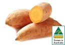 Australian-Gold-Sweet-Potatoes Sale