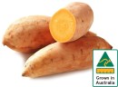 Australian-Gold-Sweet-Potatoes Sale