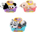 Little-Live-Pets-My-Really-Real-Puppy-Mini-Toy-Assorted Sale