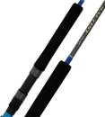 20-off-Regular-Price-on-Daiwa-23-Saltist-Rods Sale