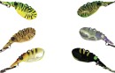 15-off-Regular-Price-on-Switchprawn-by-TT Sale