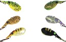 15-off-Regular-Price-on-Switchprawn-by-TT Sale