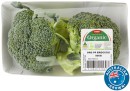 Coles-Australian-Organic-Broccoli-500g-Pack Sale