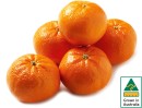 Australian-Mandarins Sale