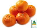 Australian-Mandarins Sale