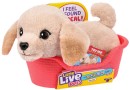 Little-Live-Pets-My-Really-Real-Puppy-Minis-Assorted Sale