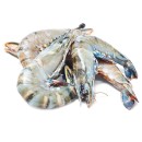 Thawed-Extra-Large-Australian-Green-Tiger-Prawns Sale