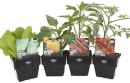 Quick-Harvest-Mixed-Vegetables Sale