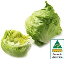 Australian-Iceberg-Lettuce Sale