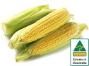 Australian-Sweet-Corn-500g-Pack Sale