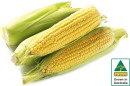 Australian-Sweet-Corn-500g-Pack Sale