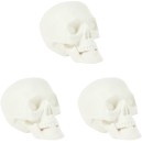 3-Piece-Bag-of-Skulls Sale