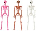Adjustable-Skeleton-Assorted Sale