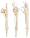 3-Piece-Skeleton-Hand-Stakes Sale