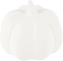 Halloween-Craft-PYO-Pumpkin Sale